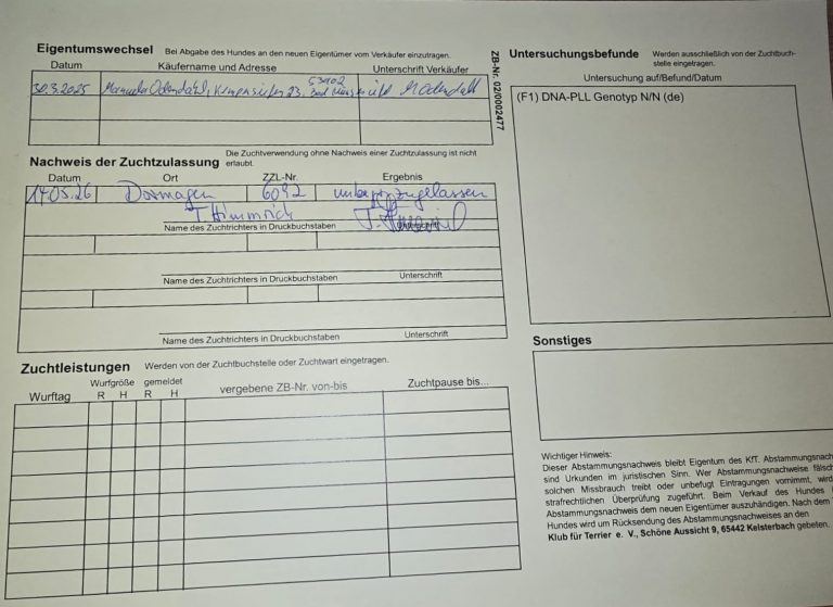 Betty - Untersuchung und Zulassung