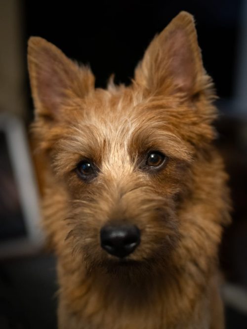 Betty Portrait 4