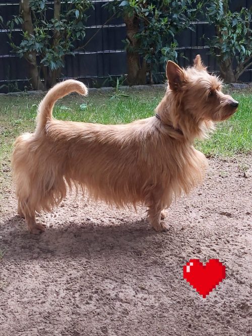 Betty Seitenprofil 1